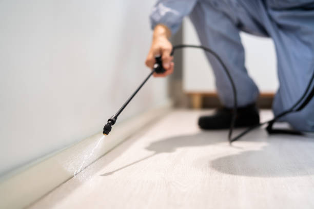 Licensed Ant Control service in Wilmington, IL - Show Me Pest Control